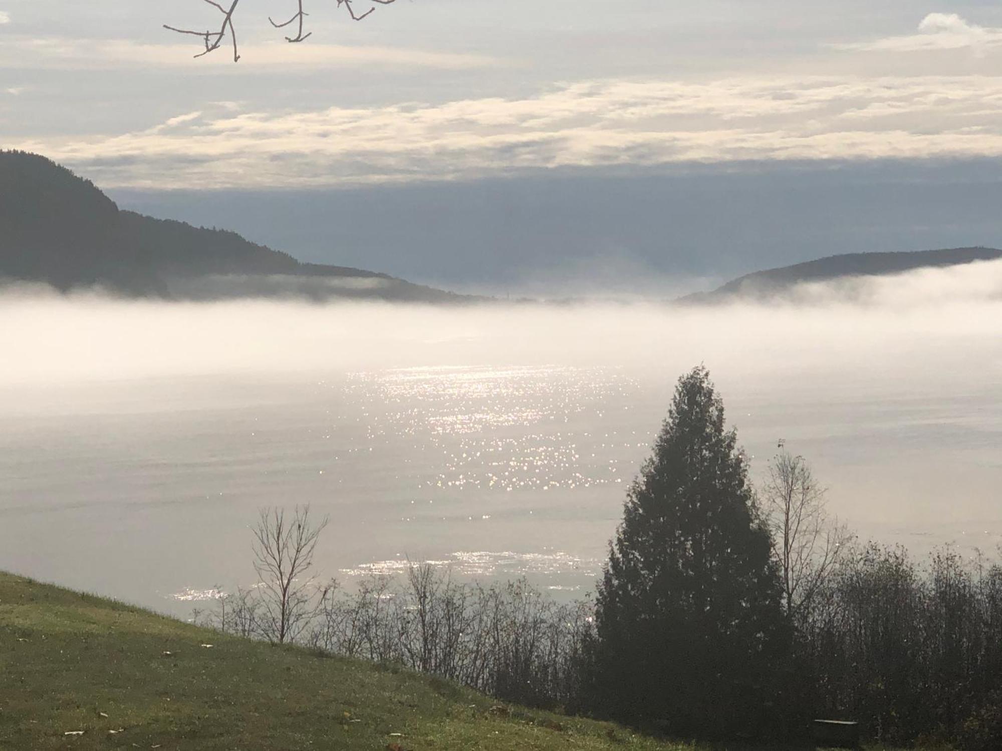 Saint-Jean-des Piles Auberge La Maison Bellemare Bed & Breakfast エクステリア 写真
